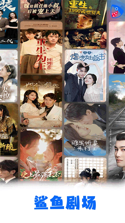 趴在窗台凝视飞鸟的布偶猫壁纸